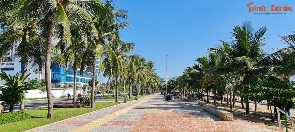 Những con đường rợp bóng dừa xanh.