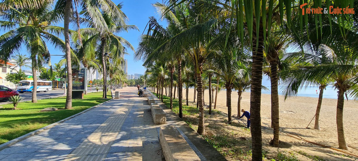 Cùng đi dạo trên những con đường ngập nắng.