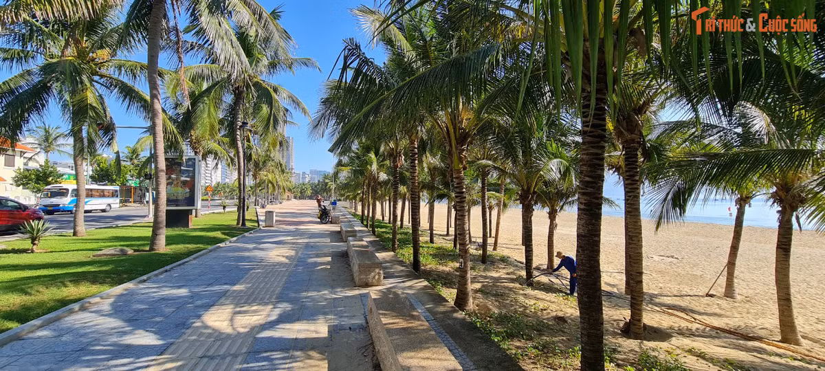 Cùng đi dạo trên những con đường ngập nắng.