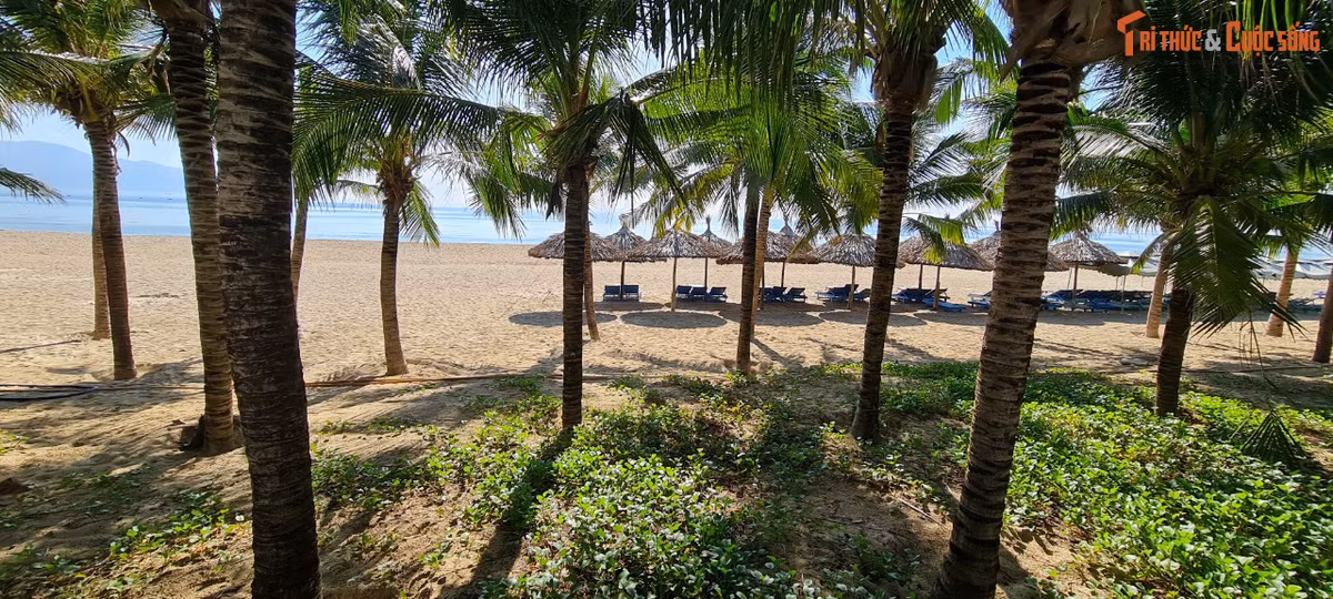 Mỹ Khê lý tưởng và an toàn cho cả người lớn và trẻ em vào bất kỳ thời điểm nào trong năm.