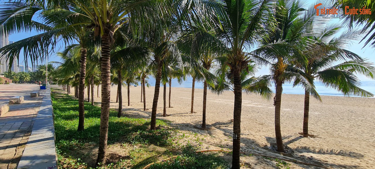 Những bãi cát trải dài bên những hàng dừa xanh...