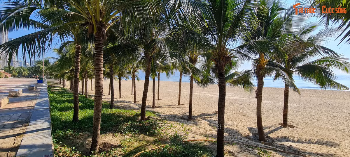 Những bãi cát trải dài bên những hàng dừa xanh...