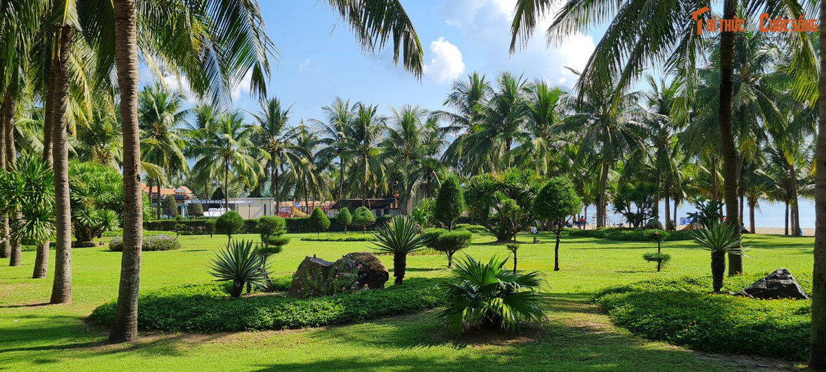 Công viên Biển Đông nằm cạnh tượng đài Mẹ Âu Cơ và chỉ cách chùa Linh Ứng chưa đầy 8km.