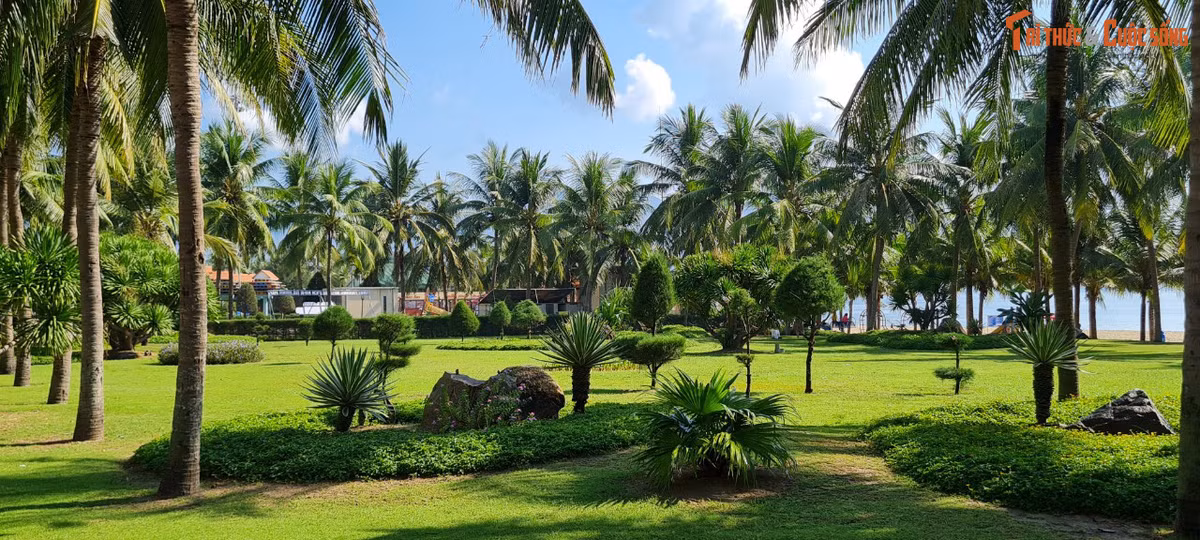 Công viên Biển Đông nằm cạnh tượng đài Mẹ Âu Cơ và chỉ cách chùa Linh Ứng chưa đầy 8km.