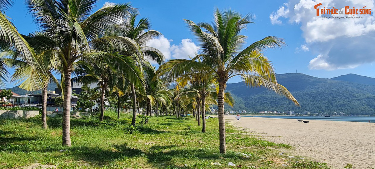 Khoảng cách từ bãi biển Mân Thái đến trung tâm Đà Nẵng là khoảng 8km.