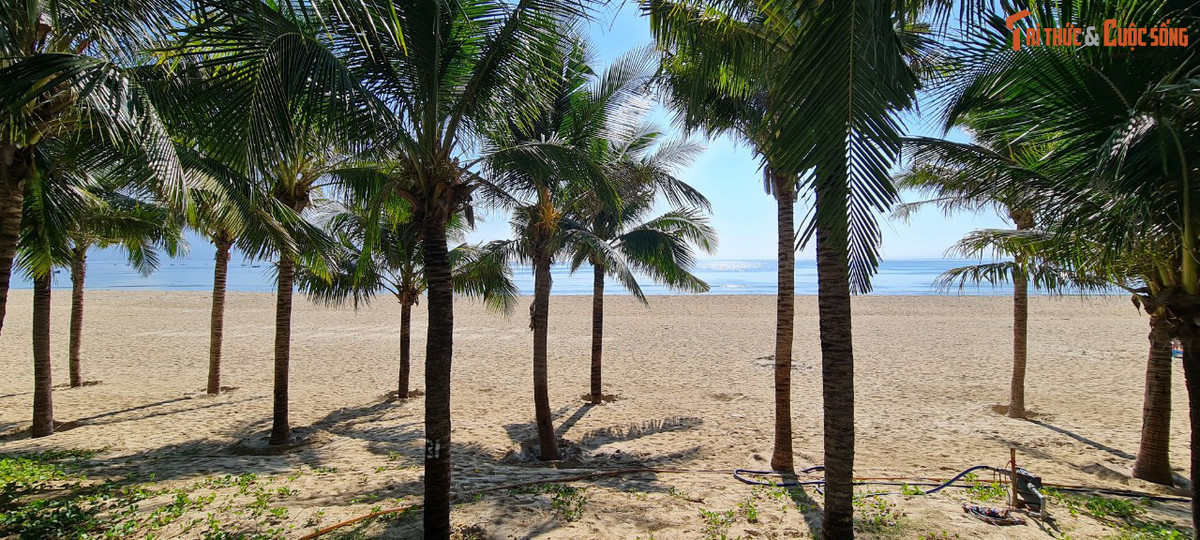 Đi dọc những hàng dừa, ngắm nhìn từng đợt sóng nhẹ vỗ vào bờ cũng tạo cảm giác thích thú, thư giãn cho du khách.