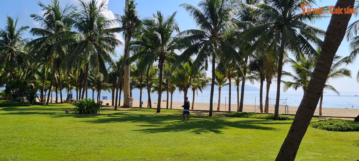 Đừng quên ghé thăm công viên Biển Đông - thiên đường xanh đẹp bậc nhất Đà thành.