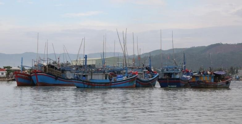 Mien Trung doc toan luc chong sieu bao Noru-Hinh-5