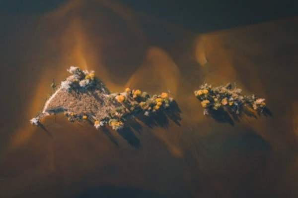 9. Hòn đảo của những ngọn đồi ngập nước: Quần đảo Asafovy là một điểm đến giải trí nổi tiếng trên Sông Volga ở Vùng Ivanovo. Nơi này giờ đây chỉ có cồn cát và rừng thông.