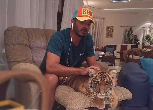 Sau khi tốt nghiệp Học viện Qatar, anh sang Mỹ du học tại trường Los Angeles Mission College, sau đó chuyển sang University of Southern California (USC). Al Thani đã nhận bằng cử nhân và thạc sĩ tại USC.