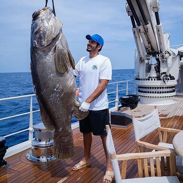 Hoàng tử Al Thani cũng tận hưởng lối sống xa hoa khi học Mỹ trong bốn năm kể từ năm 2011.