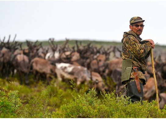 Ven man bi mat cuoc song cua cac bo toc du muc o Nga-Hinh-7