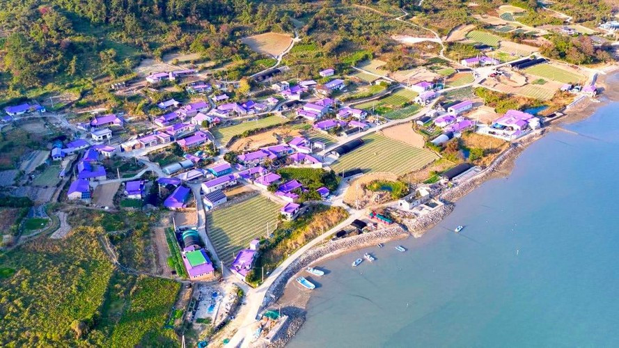 Du khách đến quần đảo Banwol và Bakji sẽ thấy từ nhà cửa, đường phố, cầu gỗ cho tới trang phục của những cụ già đều "nhuộm" màu tím.