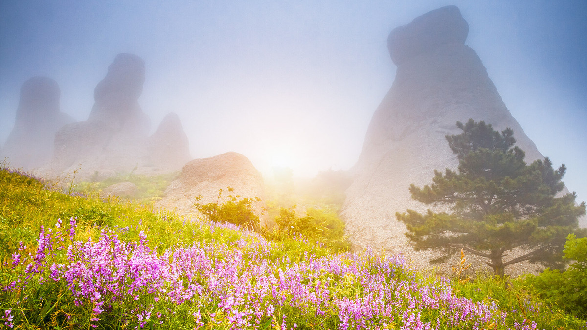 Nếu bạn nhìn vào từng viên đá và vận dụng trí tưởng tượng của mình, bạn có thể thấy rất nhiều điều thú vị: hình người, động vật và khuôn mặt của chúng.