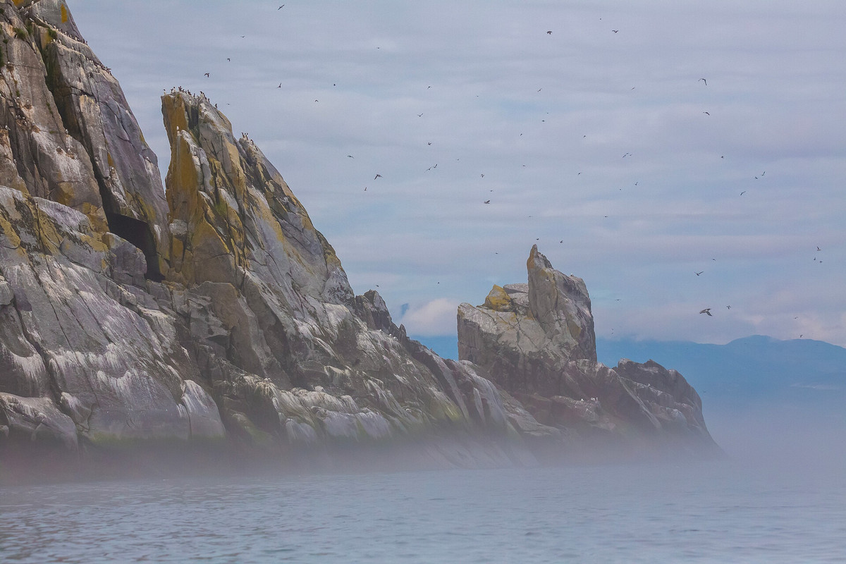 Quần đảo Yam là một quần đảo gồm những hòn đảo đá nhỏ, nơi thực tế không có sự sống của thực vật.