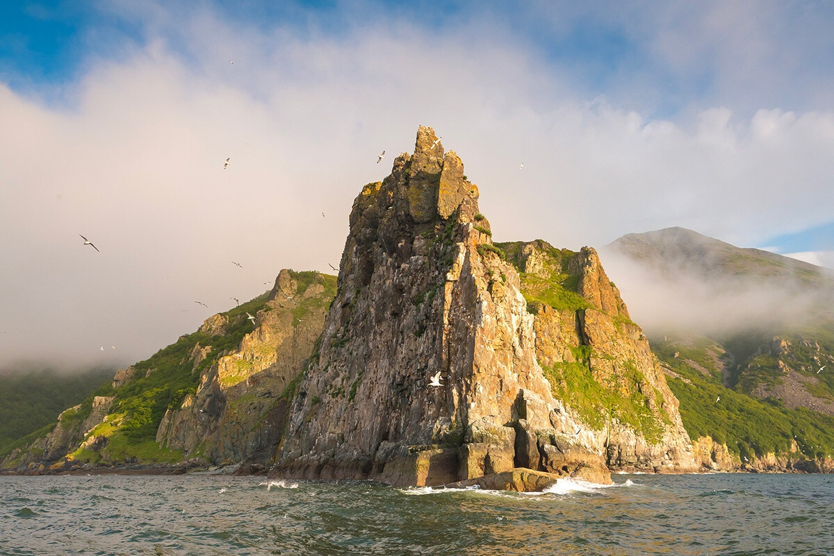 Trên Đảo Matykil, một trong những Quần đảo Yam ở Vịnh Shelikhov, người ta có thể tìm thấy ổ sinh sản ở cực bắc của sư tử biển Steller ở Nga. Chỉ có thể nhìn thấy những loài động vật biển này vào mùa hè vì biển Okhotsk đóng băng vào mùa đông. Sư tử biển được quan sát và theo dõi bằng camera ẩn.