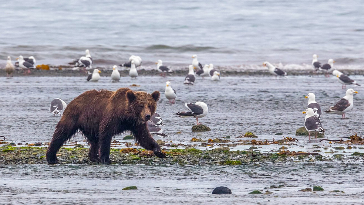 Vùng Magadan nằm ở rìa Á-Âu là một lãnh thổ rộng lớn và dân cư thưa thớt, gồ ghề với những dãy núi và sông. Để bảo vệ hệ động thực vật, Khu bảo tồn thiên nhiên Magadan được thành lập vào năm 1982, hiện là một trong 10 khu bảo tồn lớn nhất ở Nga (diện tích là 883.817 ha).