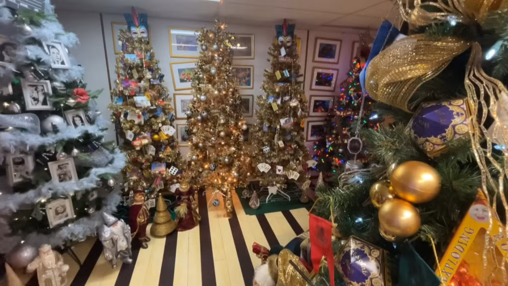 Cap vo chong dung 133 cay thong Noel trang hoang nha cua