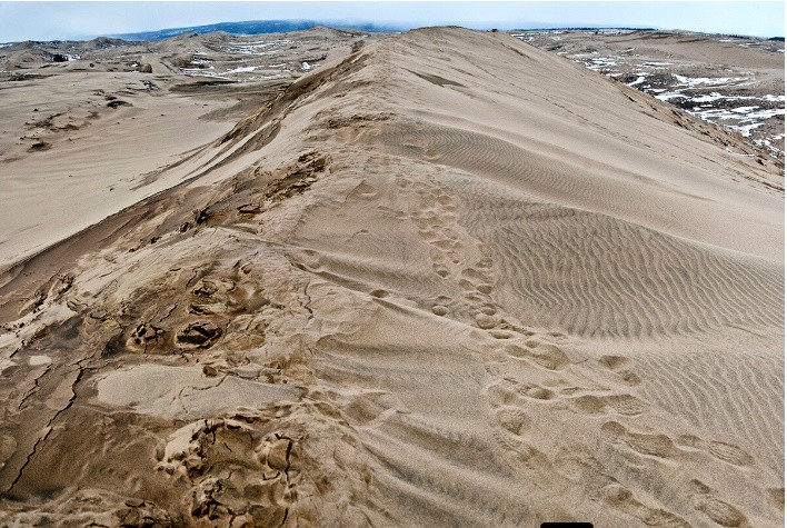 Vùng lạnh giá Siberia có cả sa mạc: Siberia rộng lớn đến mức có nhiều loại địa hình – sa mạc vùng cực ở Viễn Bắc, thảo nguyên và rừng lá rộng ở phía Nam, nhưng phần lớn diện tích được bao phủ bởi rừng taiga – rừng tuyết bao gồm thông, vân sam và thông rụng lá.