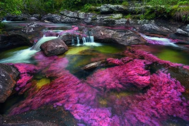 Con sông Caño Cristales nằm trong vườn quốc gia Serranía de la Macarena ở tỉnh Meta, Colombia, nổi tiếng với cái tên "dòng sông cầu vồng” hay sông ngũ sắc.