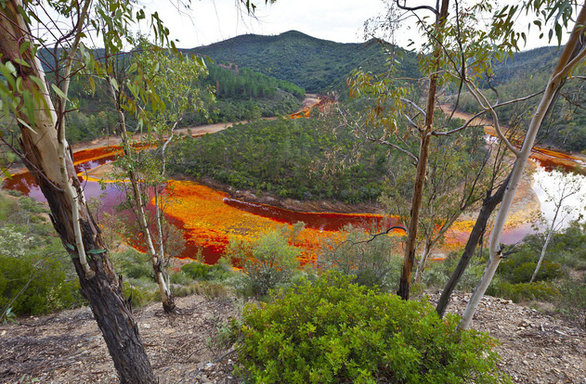 Rio Tinto là một dòng sông nổi tiếng tại Tây Ban Nha, thu hút hàng triệu du khách và các nhà khoa học khắp thế giới đến thăm mỗi năm vì làn nước màu đỏ kỳ lạ như máu.
