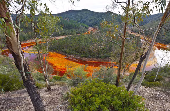 Rio Tinto là một dòng sông nổi tiếng tại Tây Ban Nha, thu hút hàng triệu du khách và các nhà khoa học khắp thế giới đến thăm mỗi năm vì làn nước màu đỏ kỳ lạ như máu.