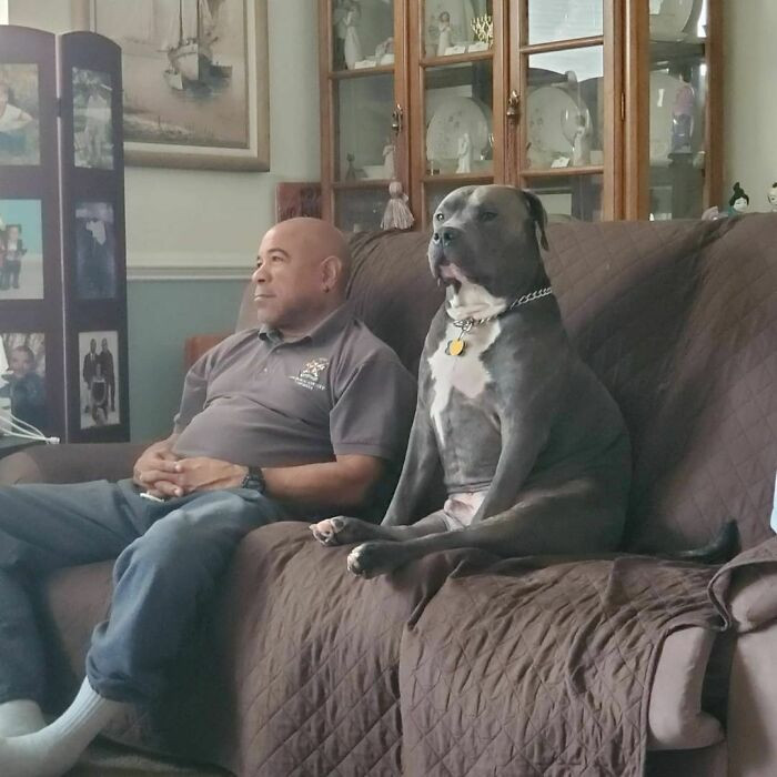 "Chủ nào tớ đấy".