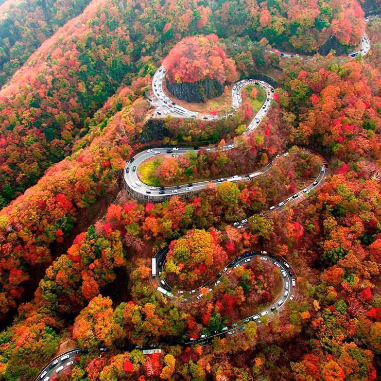 Những tán lá đỏ trải dài từ dưới chân núi lên tới tận đỉnh tạo nên cảnh quan tuyệt đẹp ở con đèo này.