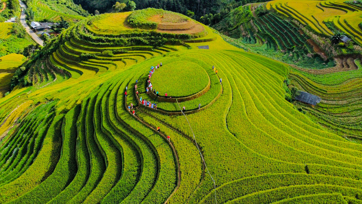 Nếu bắt đầu đi từ Hà Nội, du khách sẽ qua Sơn Tây theo quốc lộ 32, tới Thanh Sơn - Phú Thọ, tiếp tục di chuyển đến Nghĩa Lộ - Yên Bái với hai bên là đồi chè và những cánh rừng, đồi cọ bạt ngàn. Từ Nghĩa Lộ đến Mù Cang Chải là một hành trình với nhiều đoạn đường đèo dốc quanh co, nguy hiểm.