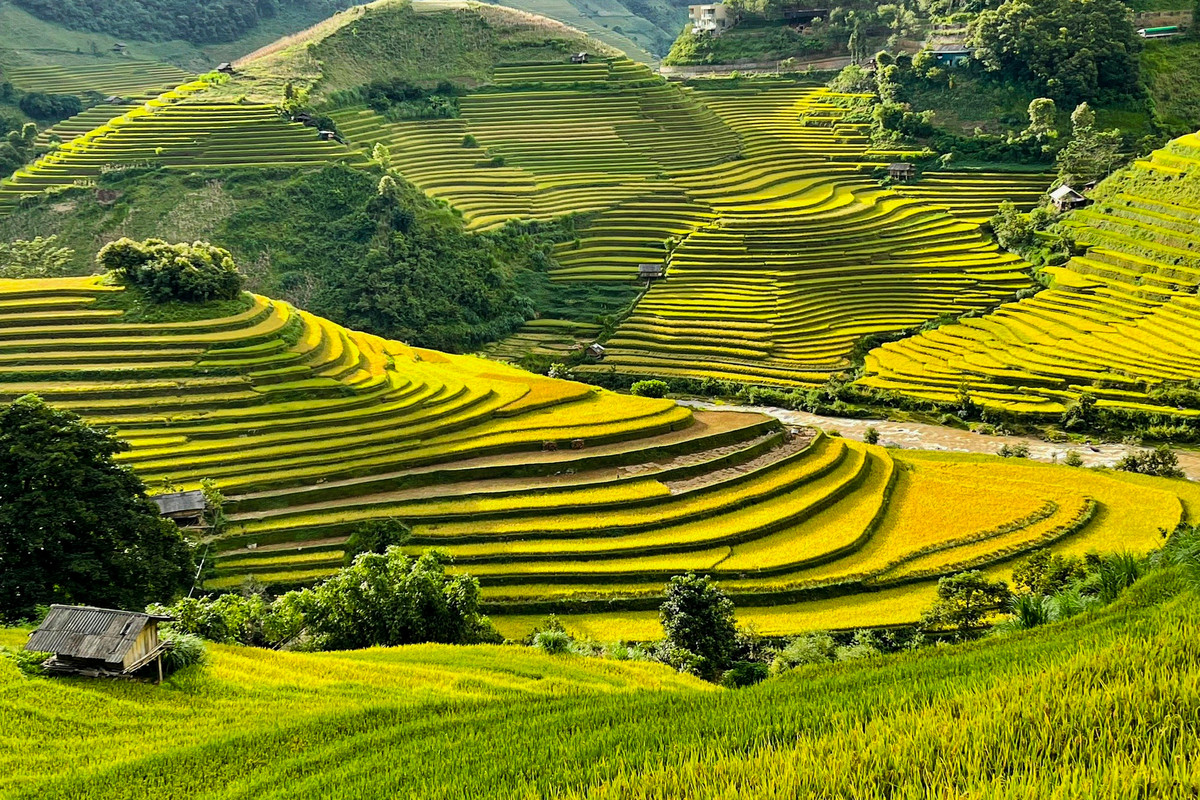 Tuy nhiên, khung cảnh tuyệt đẹp của vùng núi phía Bắc mùa lúa chín sẽ chẳng làm du khách thất vọng.