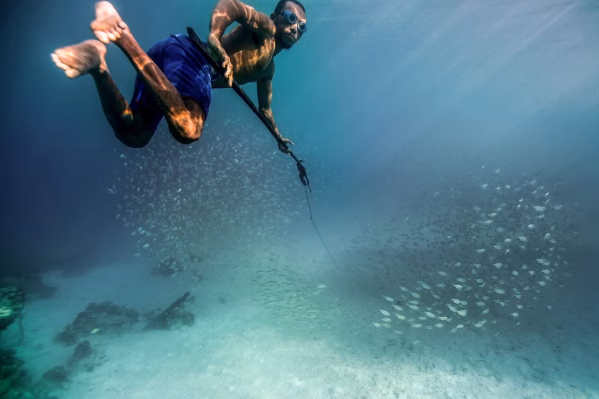 Tan muc cuoc song cua toc “nguoi ca” cuoi cung tren Trai Dat-Hinh-8