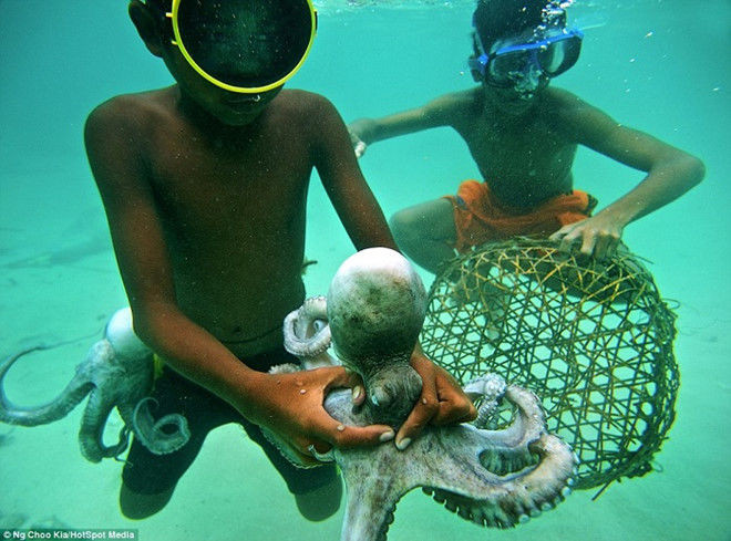 Thay vì học chữ, trẻ em Bajau được dạy cách bắt cá, bạch tuộc, tôm... Từ khi còn rất nhỏ, chúng đã có thể chèo thuyền thuần thục và biết cách săn bắt. Ảnh: IT.