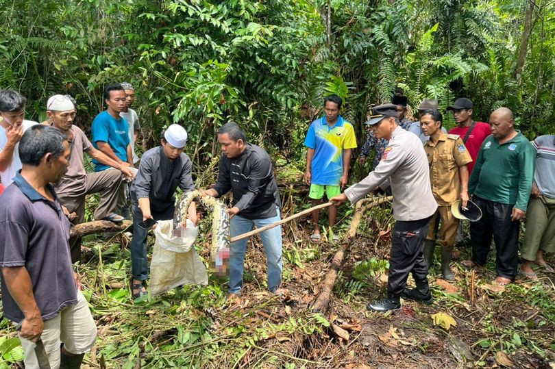 Mat tich 2 ngay, nguoi phu nu bi tran nuot chung trong rung