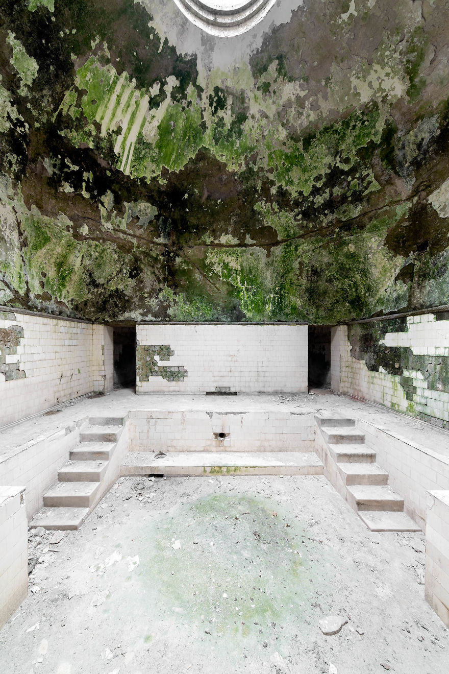 Rêu xanh, dây leo, cỏ dại xuất hiện khắp mọi nơi ở khu nghỉ mát.