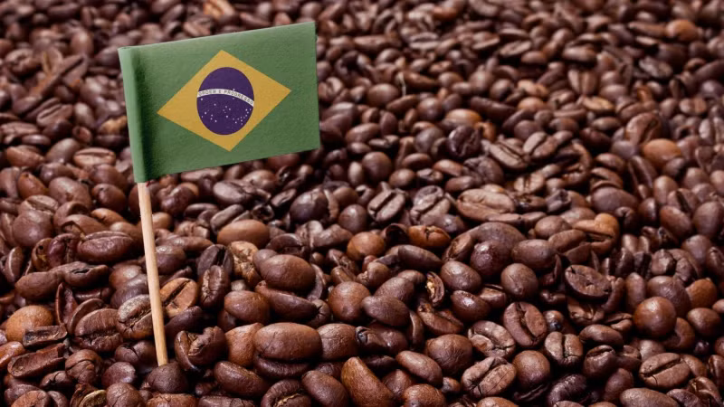 10 dieu thu vi it biet ve dat nuoc Brazil-Hinh-5