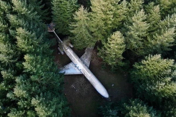 Chiếc máy bay thương mại này được đặt trên những cột bê tông kiên cố tại một khu vực rừng thưa, nằm ngoài thành phố Portland, bang Oregon, Mỹ.