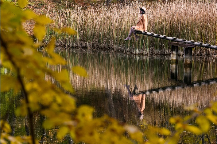 Làng Nauchnyi, Crimea, cũng bao phủ sắc vàng mùa thu.