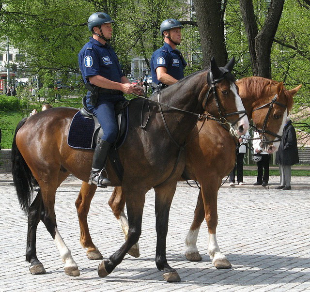 Cảnh sát được tín nhiệm cao: Điểm đặc biệt của cảnh sát Phần Lan là về mặt tổ chức. Đây là một lực lượng duy nhất và không phải là một tập hợp từ vài tổ chức như ở hầu hết các quốc gia trên thế giới. Đây là một trong những quyết định đúng đắn của chính phủ Phần Lan bởi vì gần 90% người dân tin tưởng cảnh sát.
