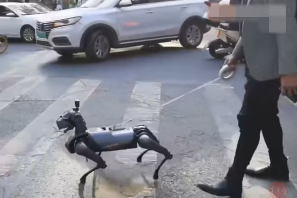 Trao luu dat cho robot di dao tro nen thinh hanh o Trung Quoc