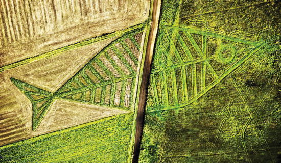 Ba Lan – Ukraine: Hai quốc gia này đã cử nghệ sĩ gốc Ba Lan Jaroslaw Koziara sáng tạo một bức tranh hình con cá trên cánh đồng cỏ thuộc địa phận biên giới nhằm tượng trưng cho sự thống nhất, đoàn kết giữa hai nước.