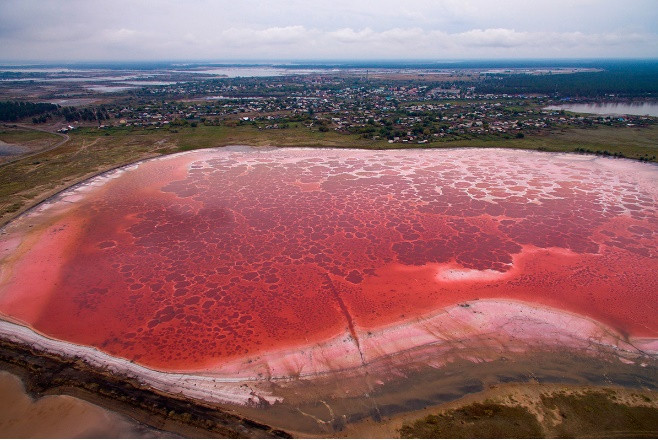 Hồ nước màu đỏ thẫm ở Altai: Hồ nước mặn này được gọi là 'Malinovoe' ("màu đỏ thẫm"). Nó nằm gần biên giới Nga với Kazakhstan trong một khu vực của ngôi làng cùng tên. Hồ nước này có màu đỏ thẫm nổi bật là do chứa vi khuẩn Serratia salinaria.