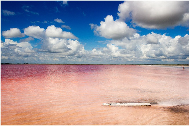 Hồ tím ở Altai: Một trong những hồ đẹp nhất ở Altai là hồ 'Burlinskoye', hoặc 'Bursol', được đặt theo tên của một ngôi làng lân cận. Vào những ngày nắng nóng của tháng 7 và tháng 8, hồ có màu hồng, hoa cà hoặc tím sáng nhờ tôm ngâm nước muối Artemia.