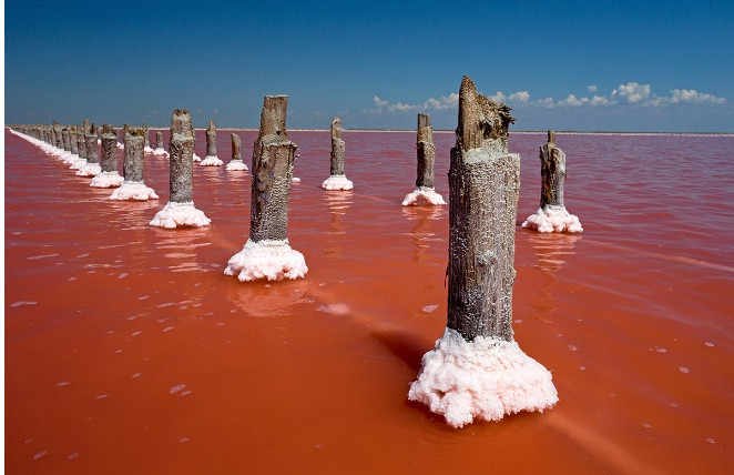 Hồ màu hồng ở Crimea: Ở Crimea, có một số hồ muối dược liệu, một số hồ có màu hồng sáng đến khó tin. Nổi tiếng nhất là hồ Sasyk-Sivash, nằm giữa hai dãy núi Saki và Eupatoria. Nó có thể có màu hồng từ tháng 7 đến tháng 9 và tùy thuộc vào chất lượng của vi sinh vật, hồ có thể có màu hồng nhạt, cũng như đỏ thẫm. 