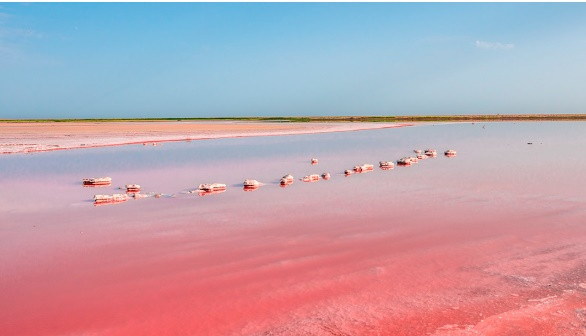 Hồ Koyashskoye: Nước ở hồ này không chỉ có màu hồng mà còn có màu tím và nhiều sắc thái khác nhau của màu da cam. Tất cả là do vi khuẩn Dunaliella salina, sản sinh ra beta carotene, giống như trong cà rốt.
