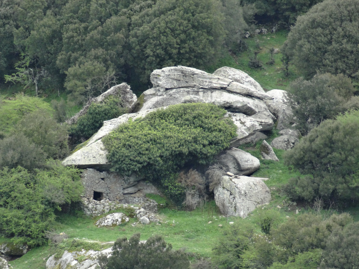 Người dân địa phương chủ yếu tương tác vào ban đêm và tránh sử dụng lửa hoặc bất kỳ nguồn ánh sáng nào, thậm chí họ còn không nuôi chó vì sợ rằng tiếng sủa của chúng sẽ thu hút những vị khách không mời. Ảnh: IT.