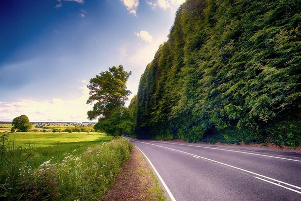 Đây cũng là hàng rào dài nhất Scotland với chiều dài lên tới 530 mét. Bao năm qua, đây trở thành địa điểm du lịch nổi tiếng thu hút nhiều người tới thăm.