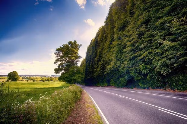 Đây cũng là hàng rào dài nhất Scotland với chiều dài lên tới 530 mét. Bao năm qua, đây trở thành địa điểm du lịch nổi tiếng thu hút nhiều người tới thăm.