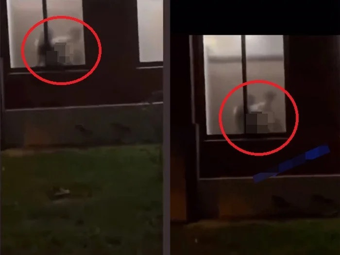 Cap doi “ho henh” trong nha ve sinh bi hang tram nguoi chung kien