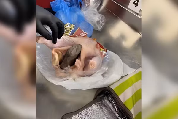 Hanh khach nhet sung vao bung ga de mang len may bay