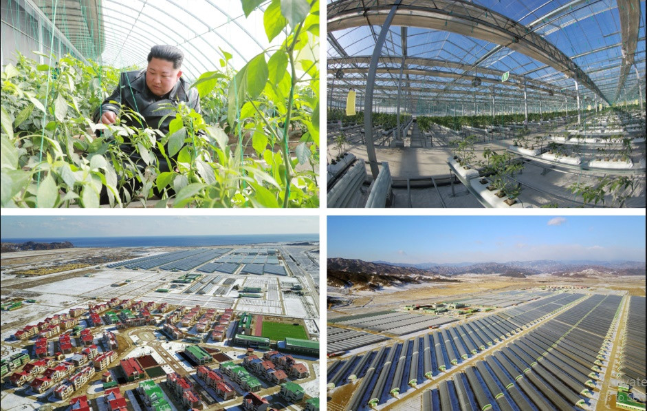 Ben trong trang trai nha kinh khong lo Trieu Tien moi khanh thanh-Hinh-10